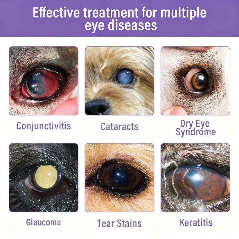 👩‍⚕️ringmiow EyeRelief Pet Eye Drops ✅ FDA-Approved | Fast Relief for Conjunctivitis, Dry Eyes, Cataracts & Keratitis 🐶🐶