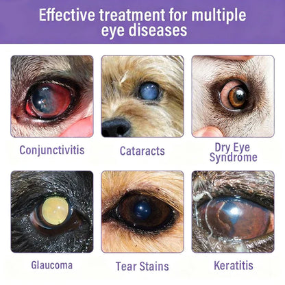👩‍⚕️ringmiow EyeRelief Pet Eye Drops ✅ FDA-Approved | Fast Relief for Conjunctivitis, Dry Eyes, Cataracts & Keratitis 🐶🐶